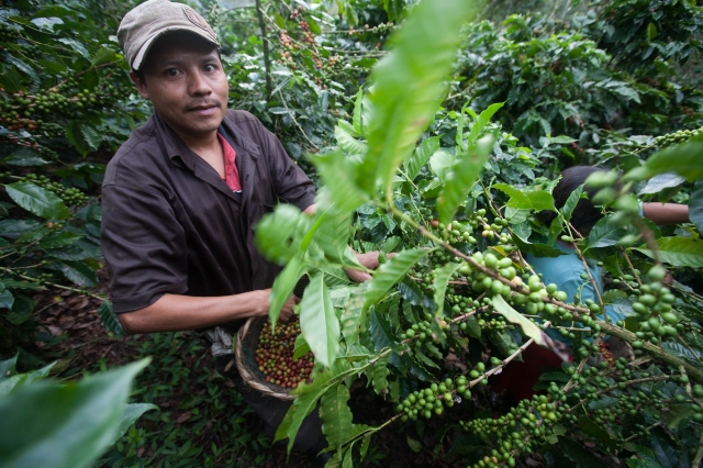 AVIA serwuje świeżo parzoną kawę z certyfikatem Fairtrade
