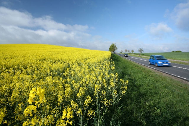 Diesle będą nadal jeździć we Francji – kraj promuje biopaliwo B100