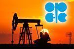 MFW spodziewa się wzrostu wydobycia OPEC+ 